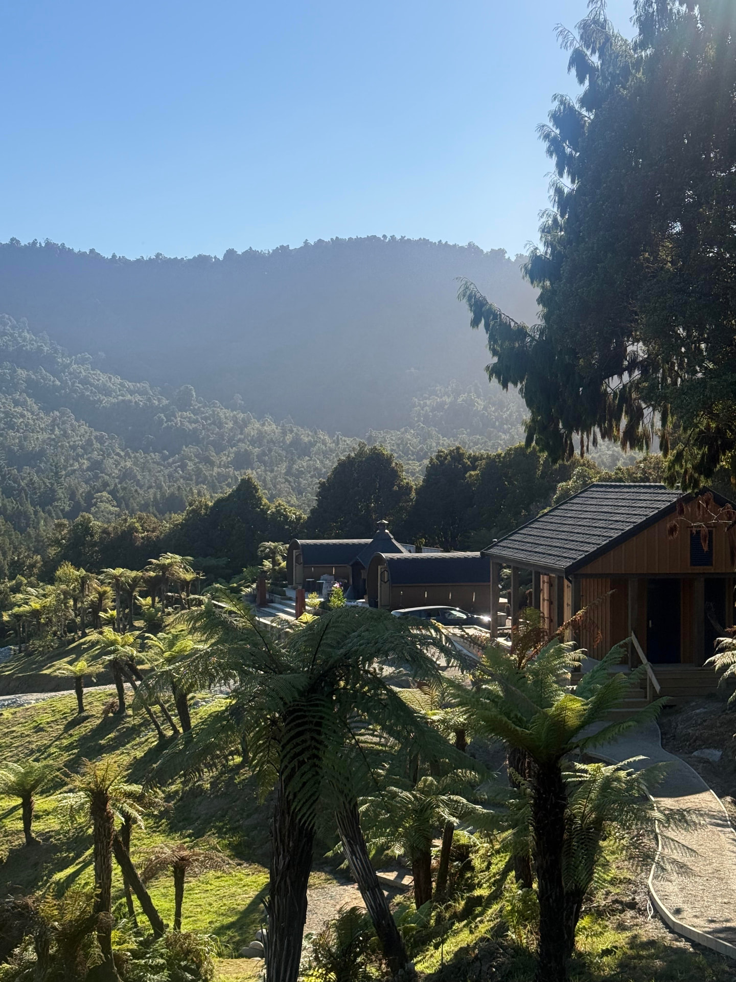 Viking Village barrel cabins among tree ferns with forested Kaiata ranges beyond